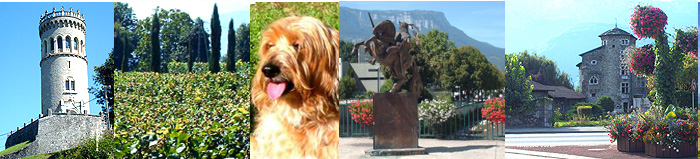 Truffe Is�re Gresivaudan